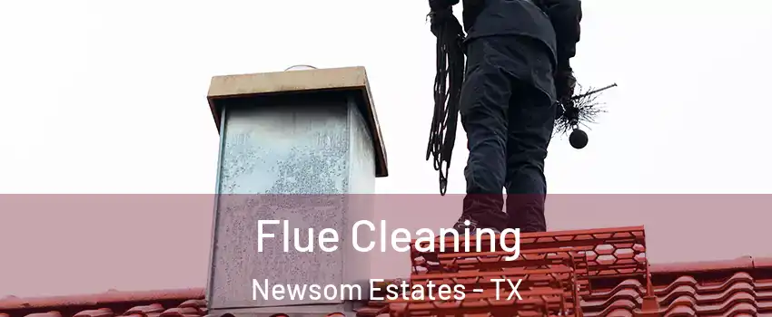 Flue Cleaning Newsom Estates - TX