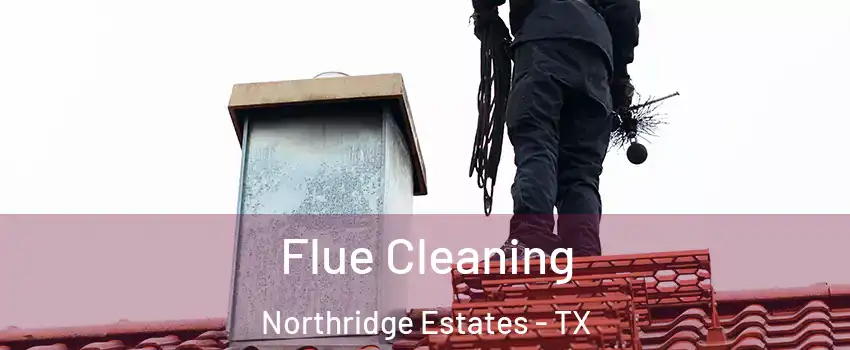 Flue Cleaning Northridge Estates - TX