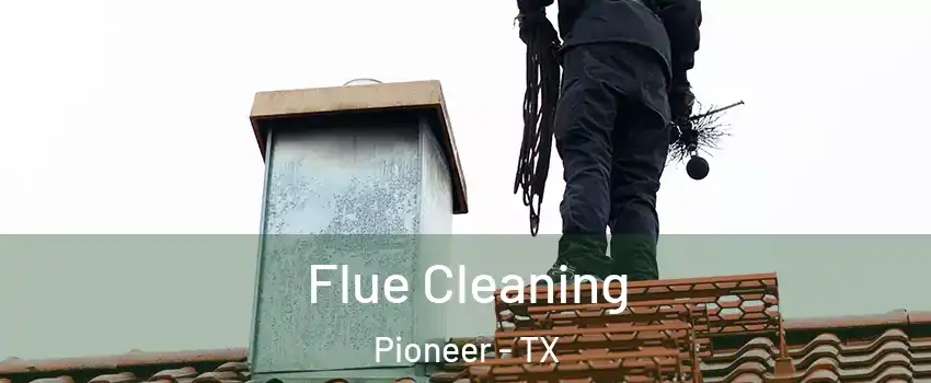 Flue Cleaning Pioneer - TX