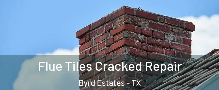 Flue Tiles Cracked Repair Byrd Estates - TX