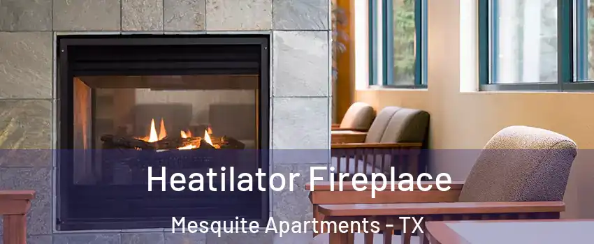 Heatilator Fireplace Mesquite Apartments - TX