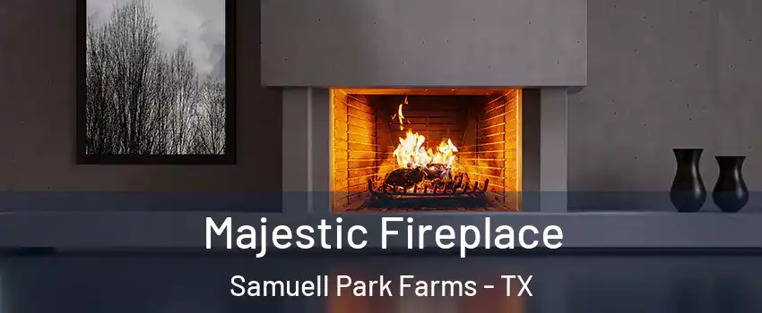 Majestic Fireplace Samuell Park Farms - TX