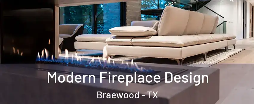 Modern Fireplace Design Braewood - TX