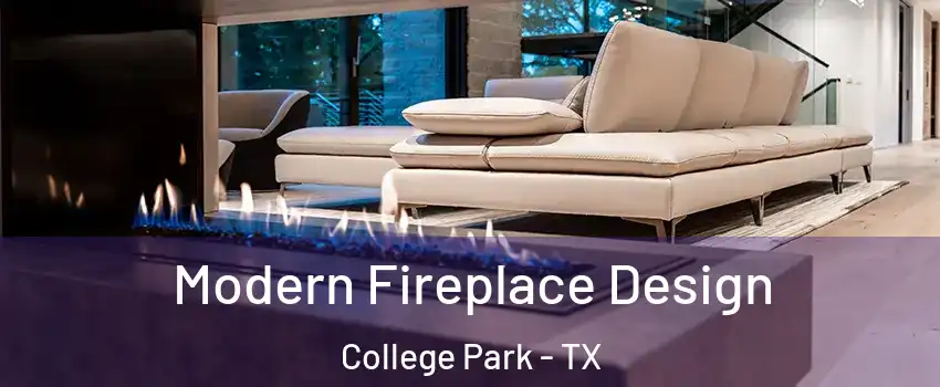 Modern Fireplace Design College Park - TX