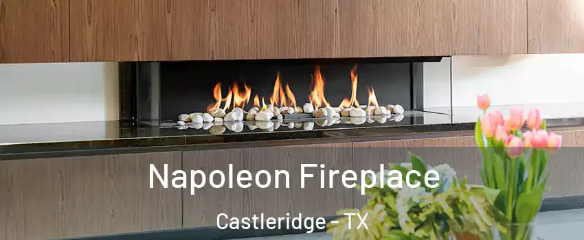 Napoleon Fireplace Castleridge - TX