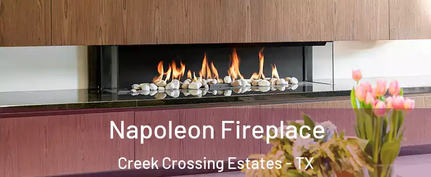 Napoleon Fireplace Creek Crossing Estates - TX