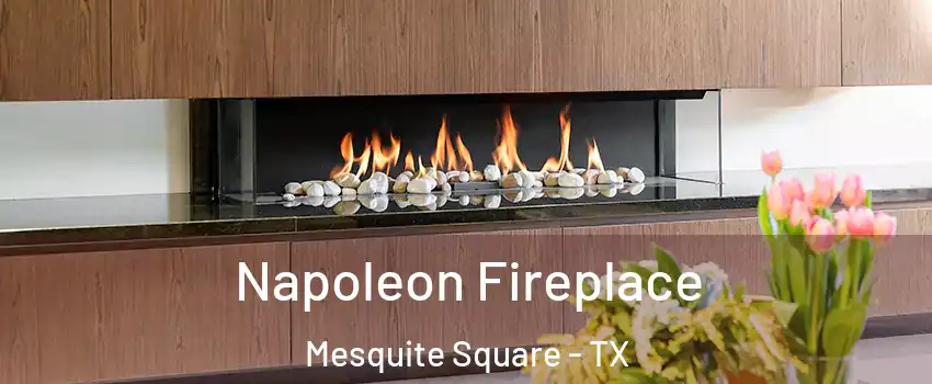 Napoleon Fireplace Mesquite Square - TX