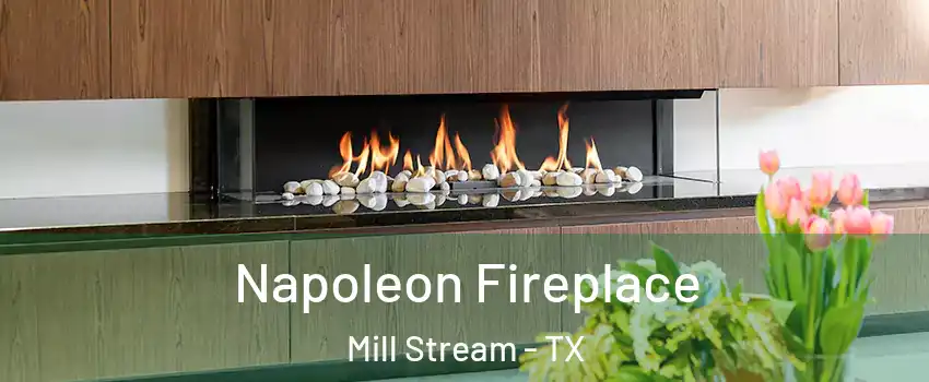 Napoleon Fireplace Mill Stream - TX