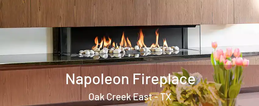 Napoleon Fireplace Oak Creek East - TX