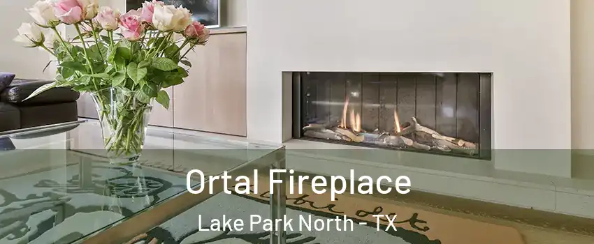 Ortal Fireplace Lake Park North - TX