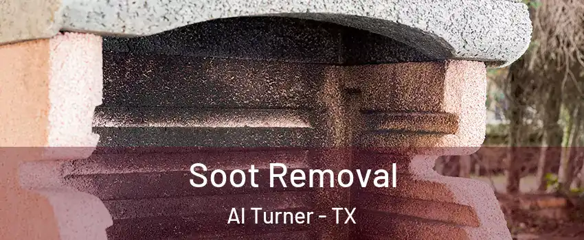 Soot Removal Al Turner - TX