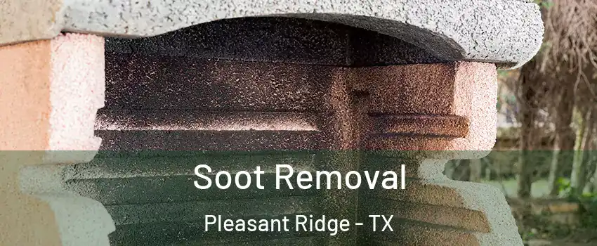 Soot Removal Pleasant Ridge - TX