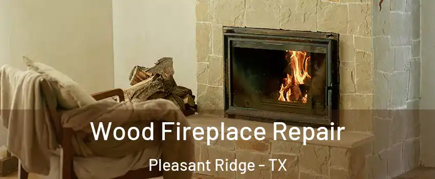 Wood Fireplace Repair Pleasant Ridge - TX