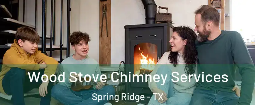 Wood Stove Chimney Services Spring Ridge - TX